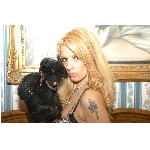 missnet-dsc_0077.jpg
Počet zobrazení: 1606 (6713.0312 dní) pr.=0.2392
Rozměr: 600 x 398 pixel
Velikost: 44.8 kB