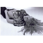 missnet-sejmout0008.jpg
Počet zobrazení: 1516 (6732.9483 dní) pr.=0.2252
Rozměr: 874 x 600 pixel
Velikost: 73.71 kB