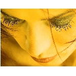 Kate�ina Pelik�nov�