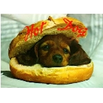 hotdog.jpg
Poet zobrazen: 3684 (6384.7928 dn) pr.=0.5770
Rozmr: 550 x 403 pixel
Velikost: 24.509 kB