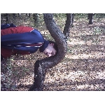 fotka.jpg
Po�et zobrazen�: 1419 (6808.9871 dn�) pr.=0.2084
Rozm�r: 600 x 450 pixel
Velikost: 101.988 kB