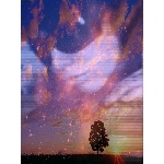 ss.jpg
Poet zobrazen: 1467 (6239.9938 dn) pr.=0.2351
Rozmr: 450 x 600 pixel
Velikost: 207.006 kB