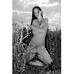 dsc0376cb.jpg
Počet zobrazení: 2135 (5639.8826 dní) pr.=0.3786
Rozměr: 399 x 600 pixel
Velikost: 201.643 kB