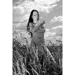 dsc0393cb.jpg
Počet zobrazení: 2029 (5639.8816 dní) pr.=0.3598
Rozměr: 400 x 600 pixel
Velikost: 198.119 kB